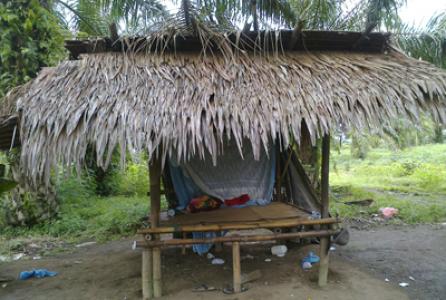Gadis 17 Tahun Diperkosa Tiga Pria di Kebun Sawit